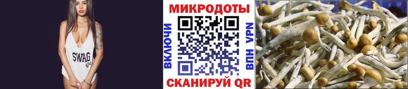 Псилоцибиновые грибы GOLDEN TEACHER  Купить закладки  Новоржев 