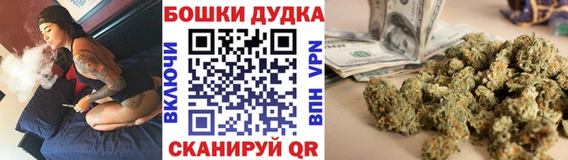 Купить где Новоржев Шишки марихуана ГИДРОПОН
